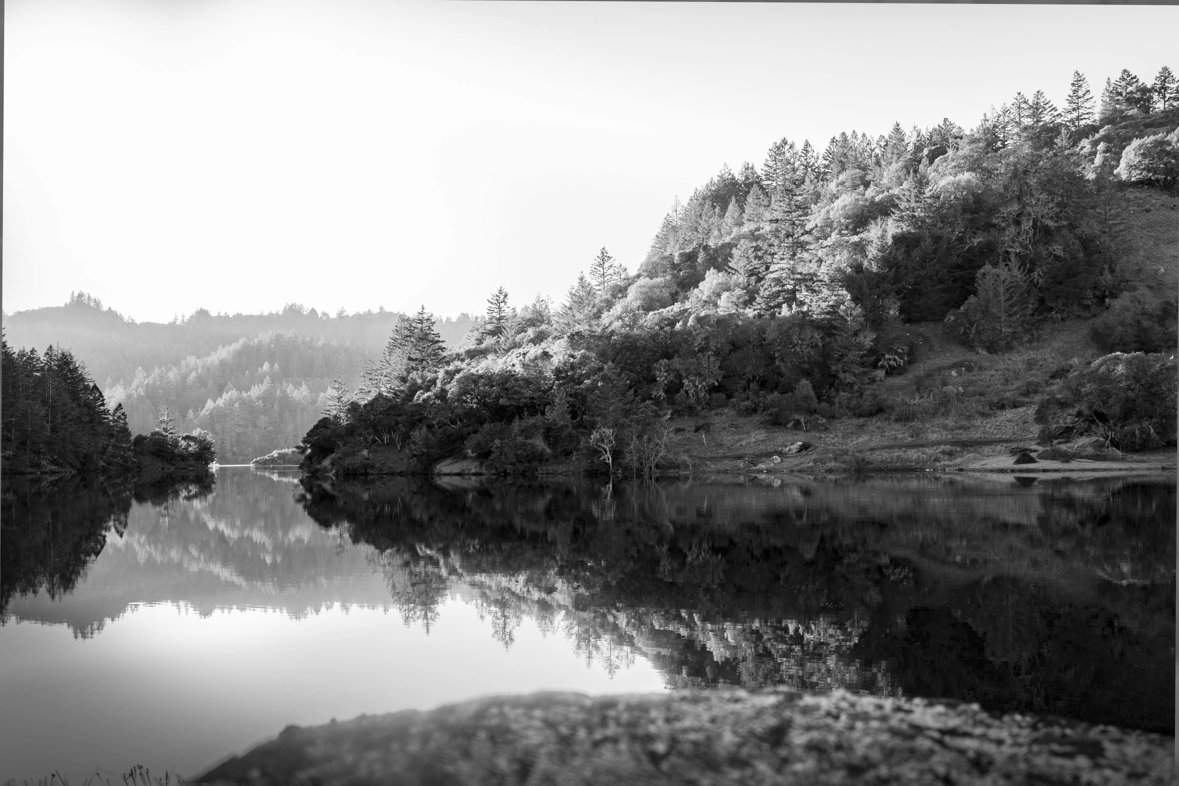 a quiet lake filled with lots of water and trees