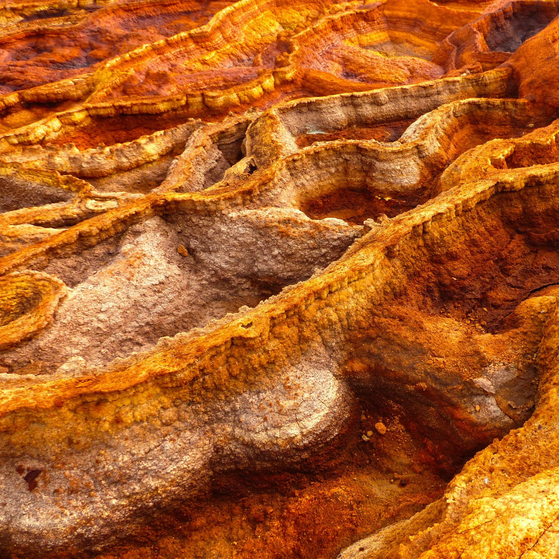 rocks and dirt are brown in color