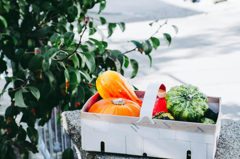 the fruits and vegetables are on the concrete outside