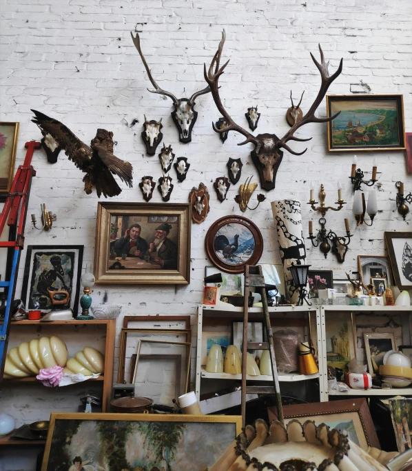 a wall filled with assorted framed items and antlers