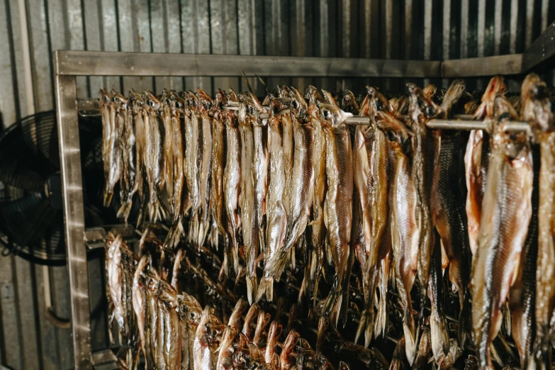 lots of pieces of food hanging up in an industrial kitchen