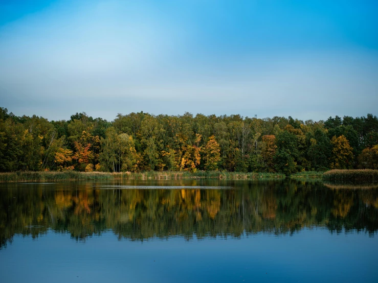 a blue sky and clear water in front of forest