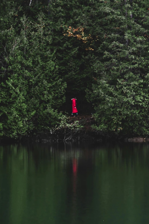 a person in a red coat walking by the lake