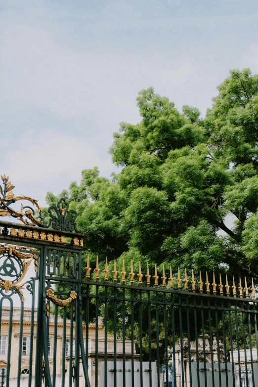 a large green wrought iron gate in front of a tree