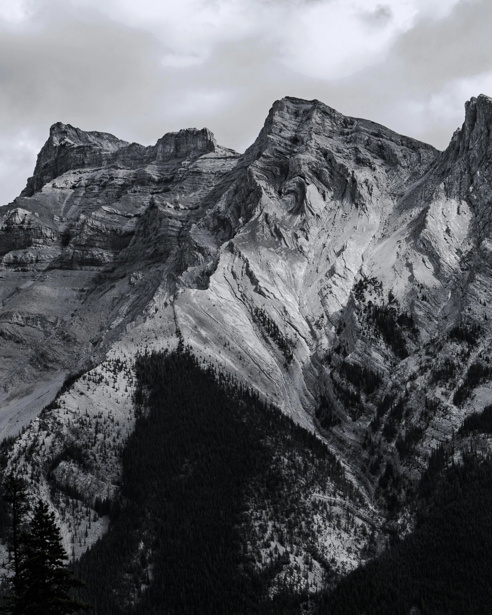 black and white po of mountains and trees