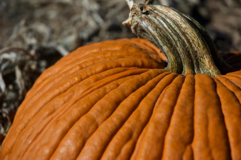 there is a large orange pumpkin on the ground