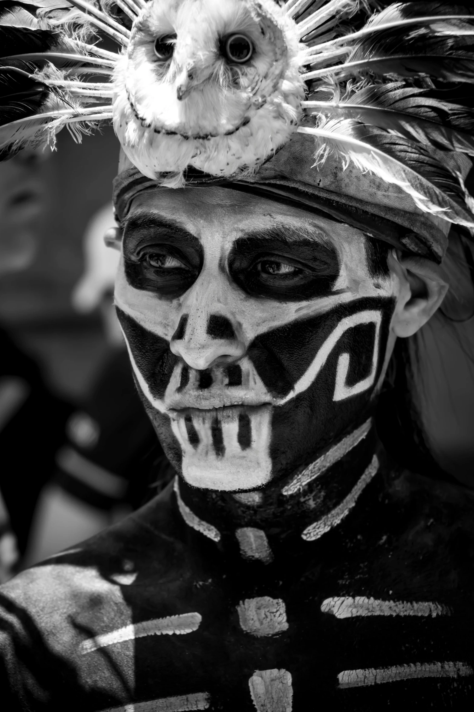 a skull wearing a feather hat with feathers