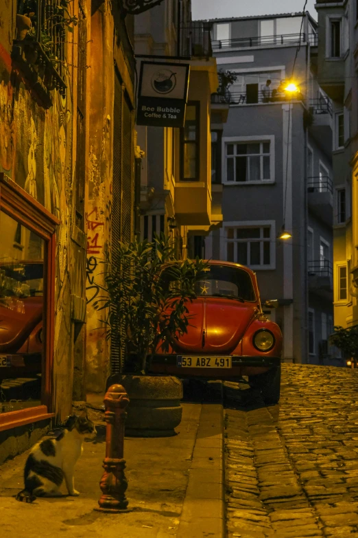 an old, run down alleyway with a parked car and a black and white cat