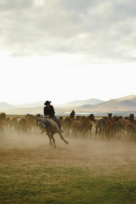 the cowboy is riding a horse near a herd of horses