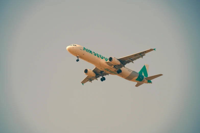 an airplane flying through a grey sky in the daytime