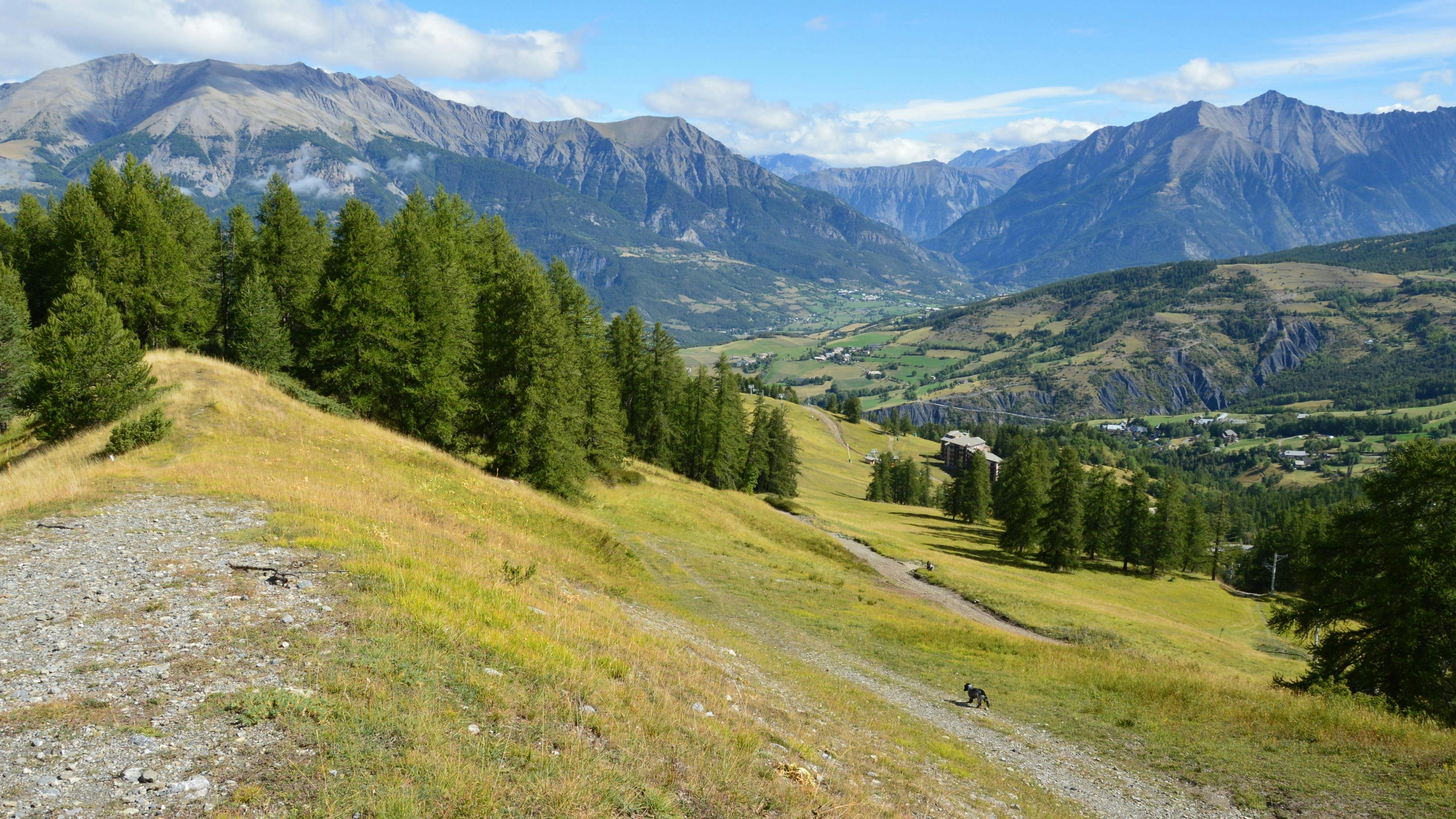 a trail near a mountain with trees on the sides