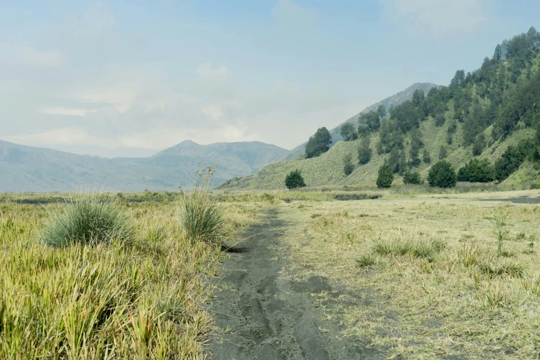 a grassy trail leads away from a mountain