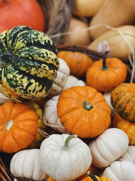 several small gourds and pumpkins are sitting on the floor