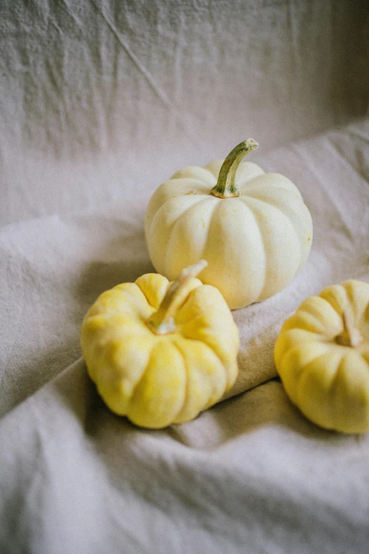 small white pumpkins placed side by side on a white fabric