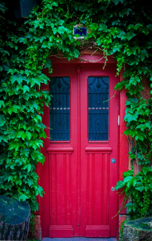 a red door that has vines on it