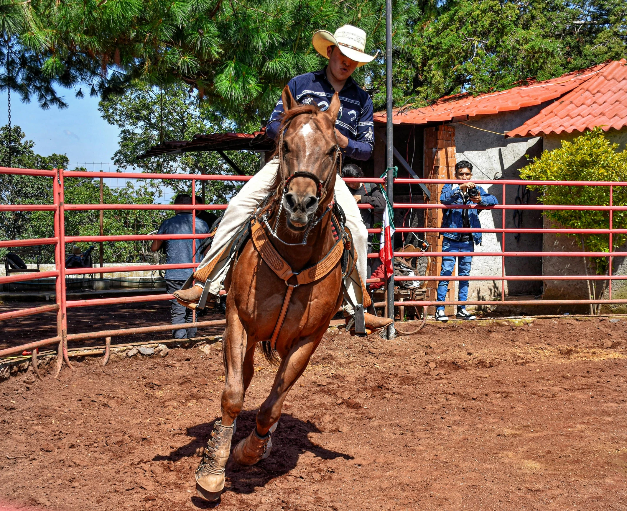 a young man riding on the back of a brown horse