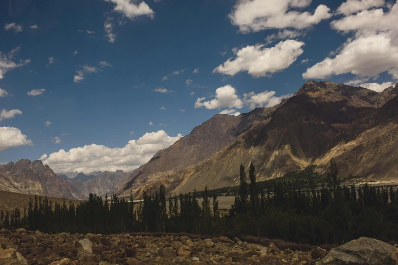 a mountain landscape with rocks and sp trees