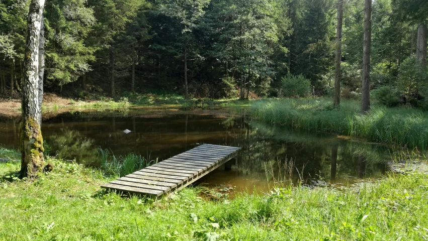 a wooden dock sits on the shore of a lake