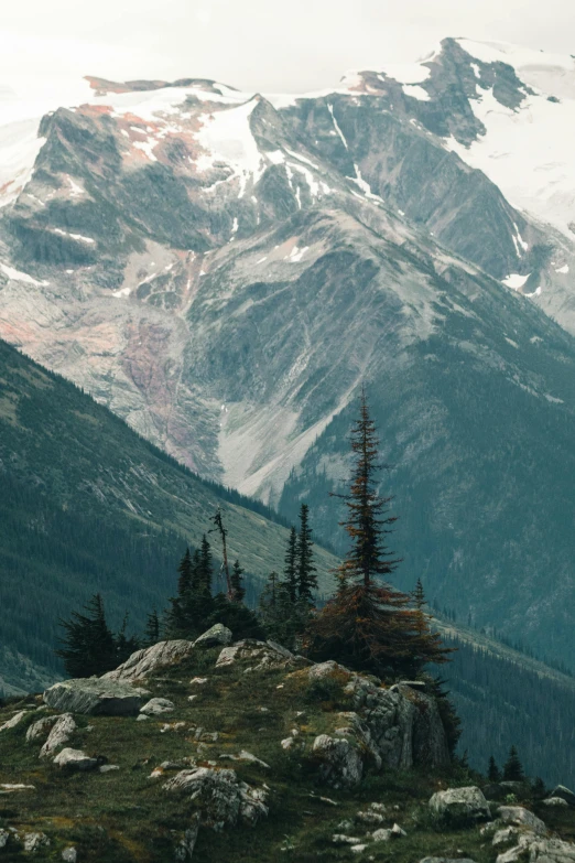 a mountain view with trees and rocks in the foreground