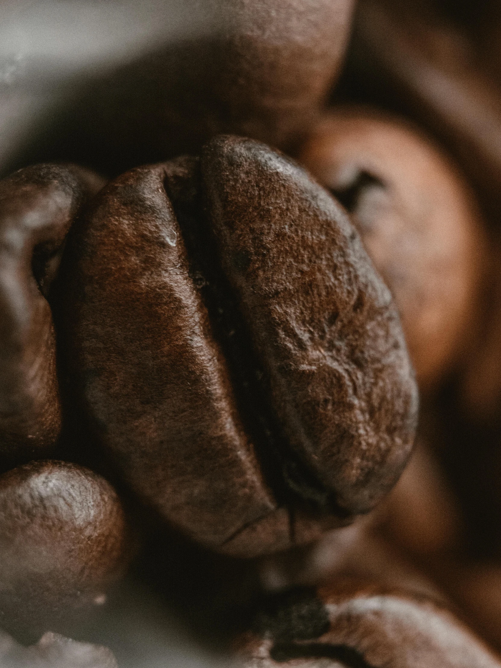 closeup pograph of an assortment of bread items