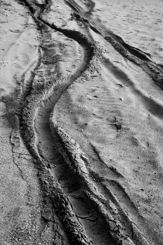 the tracks in the sand are straight up