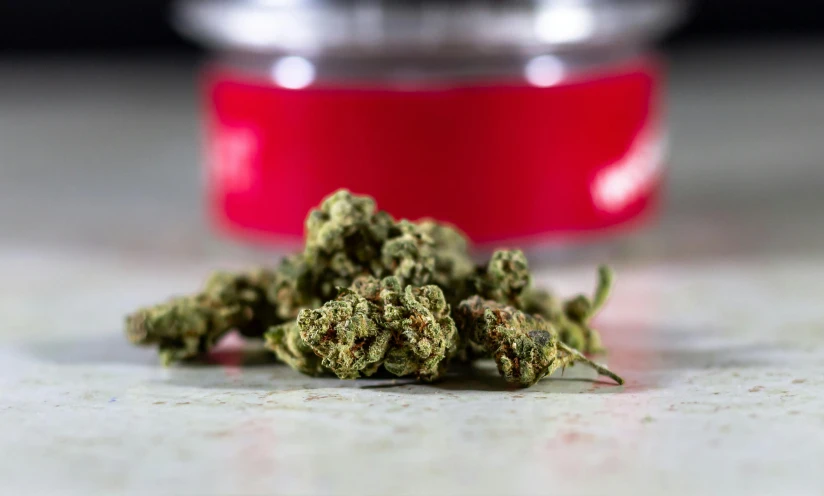 a close up of a green weed on a table