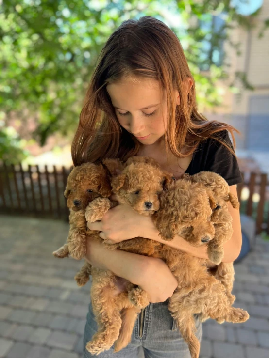 a girl holding two brown dogs with eyes closed