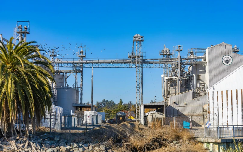 the industrial landscape is very sp with a palm tree