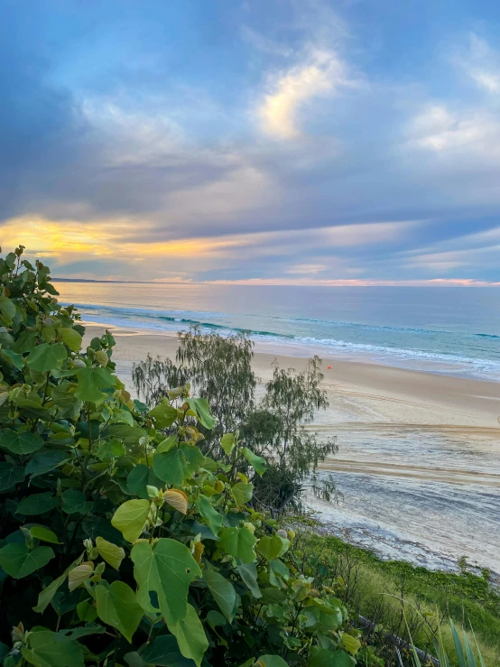 the sun is setting over an ocean beach