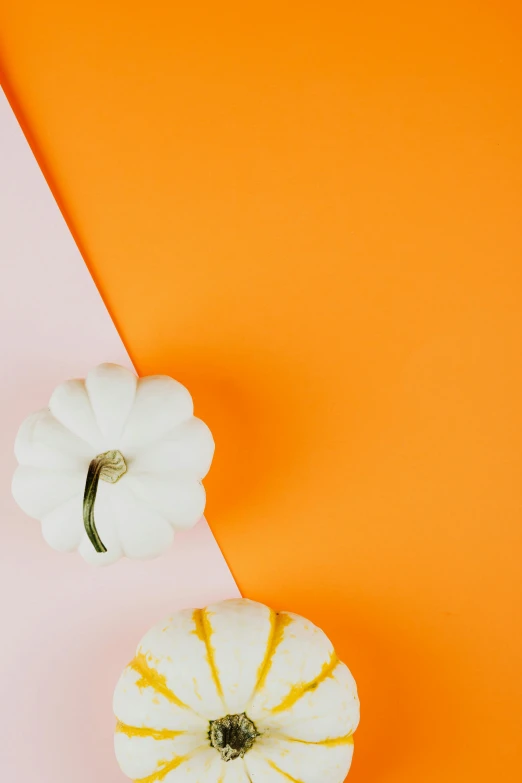 white pumpkins on top of an orange and pink background