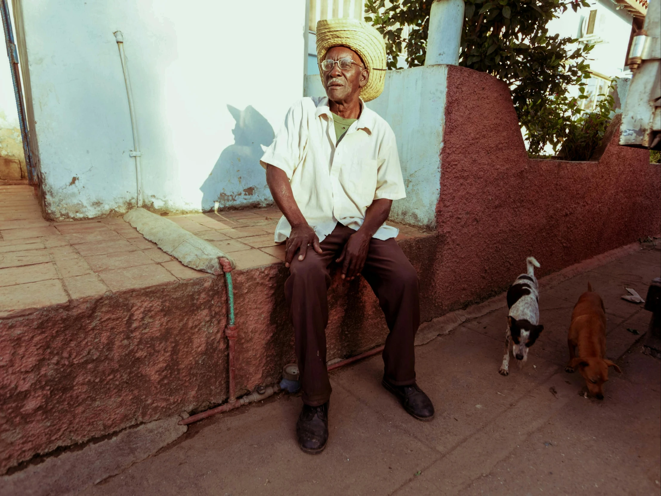 a man sitting on the ground and a small dog walking by