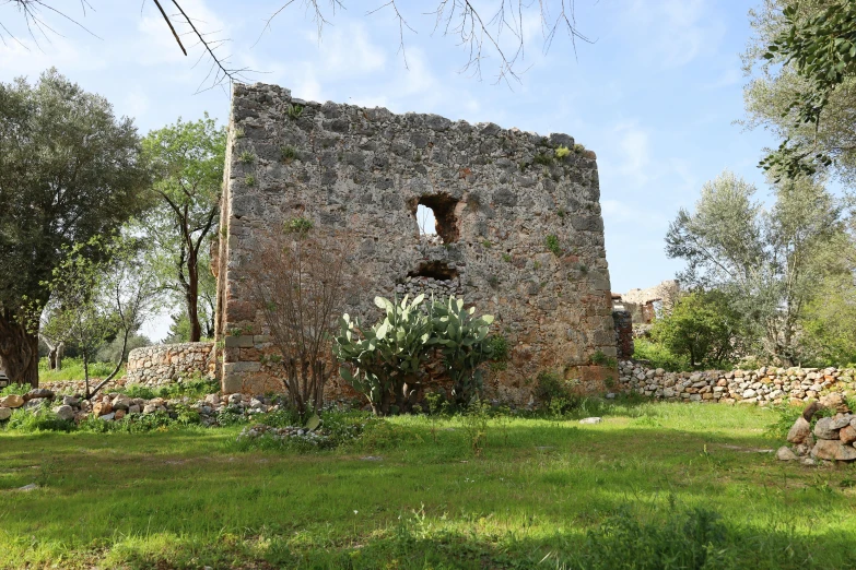 a small building with some vines growing inside of it