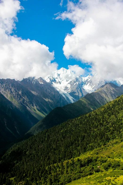 a green hillside with a mountain range in the background