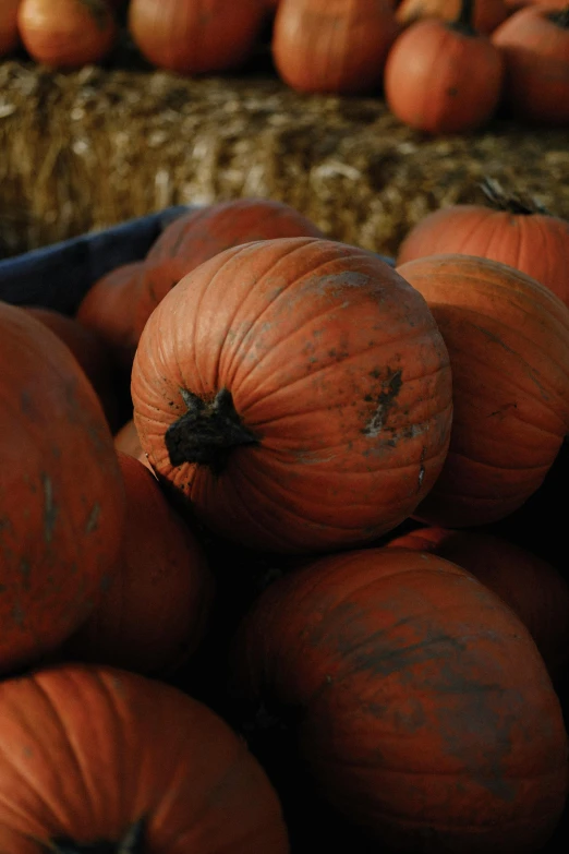 the pumpkins are piled up together in the crates