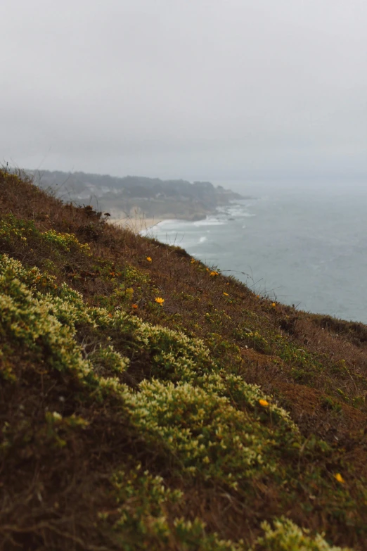 a lonely elephant is standing on a hill near the water