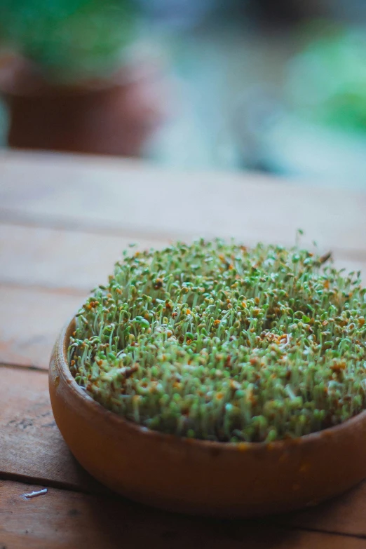 a close up s of some green stuff in a wooden bowl