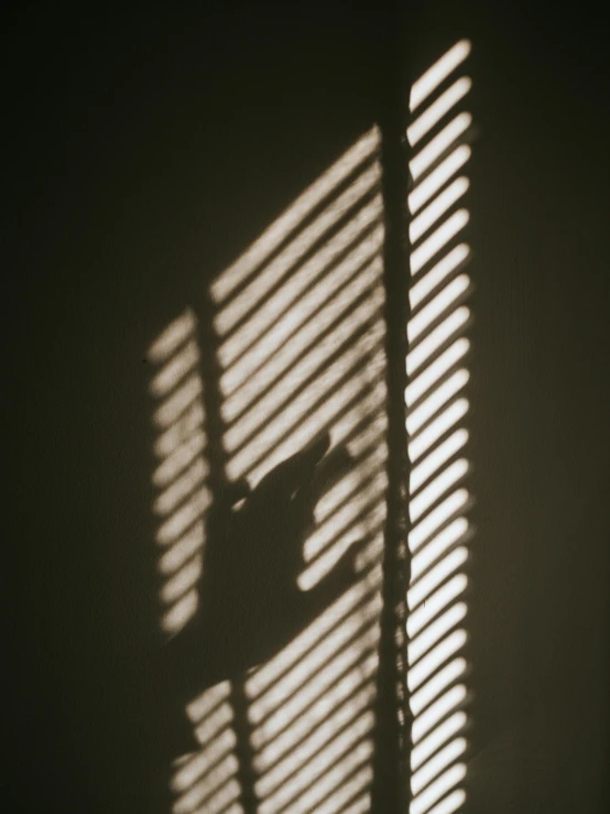 a person looking through the blinds in their house