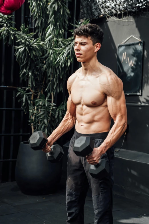 a young shirtless man working out with two dumbs