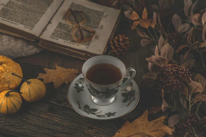 cup and saucer with pumpkins next to open book