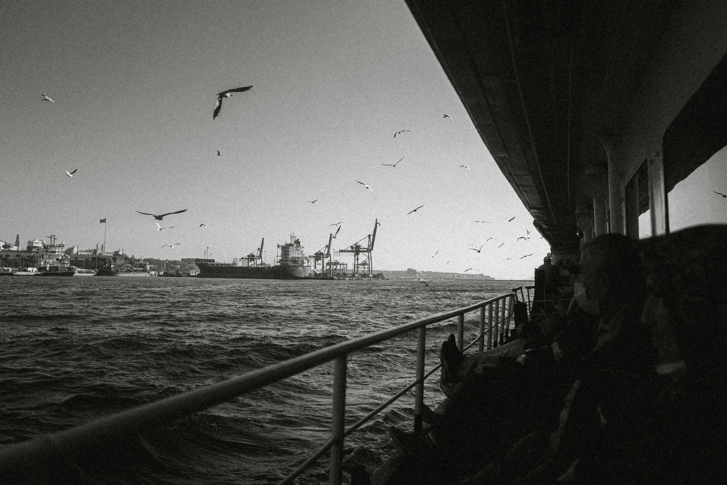 a group of seagulls flies in the air as others look on from a boat