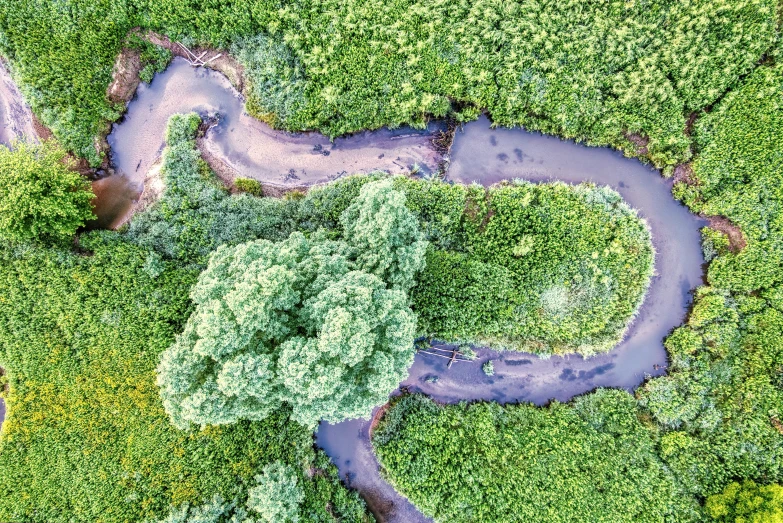 a river is next to some grass and trees