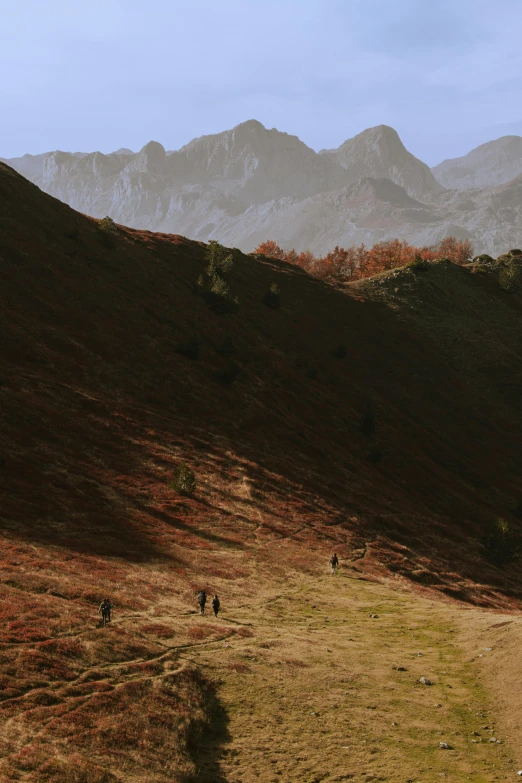 a couple of people standing on top of a grass covered hillside