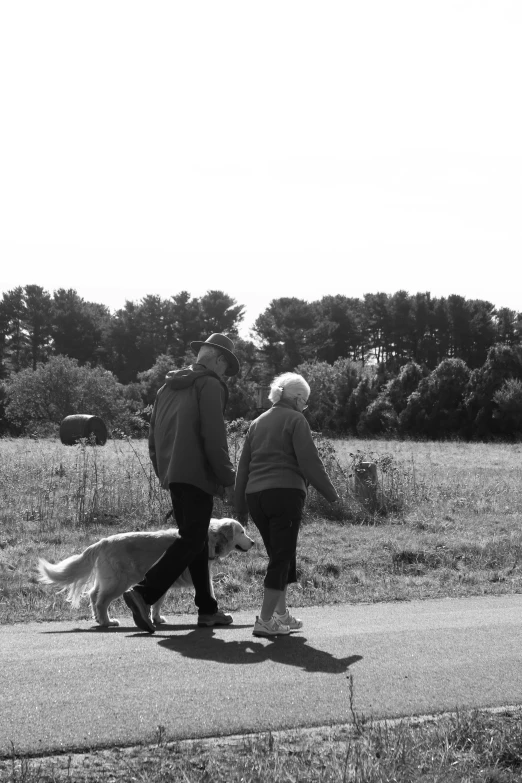 a man and woman walking a dog down a road