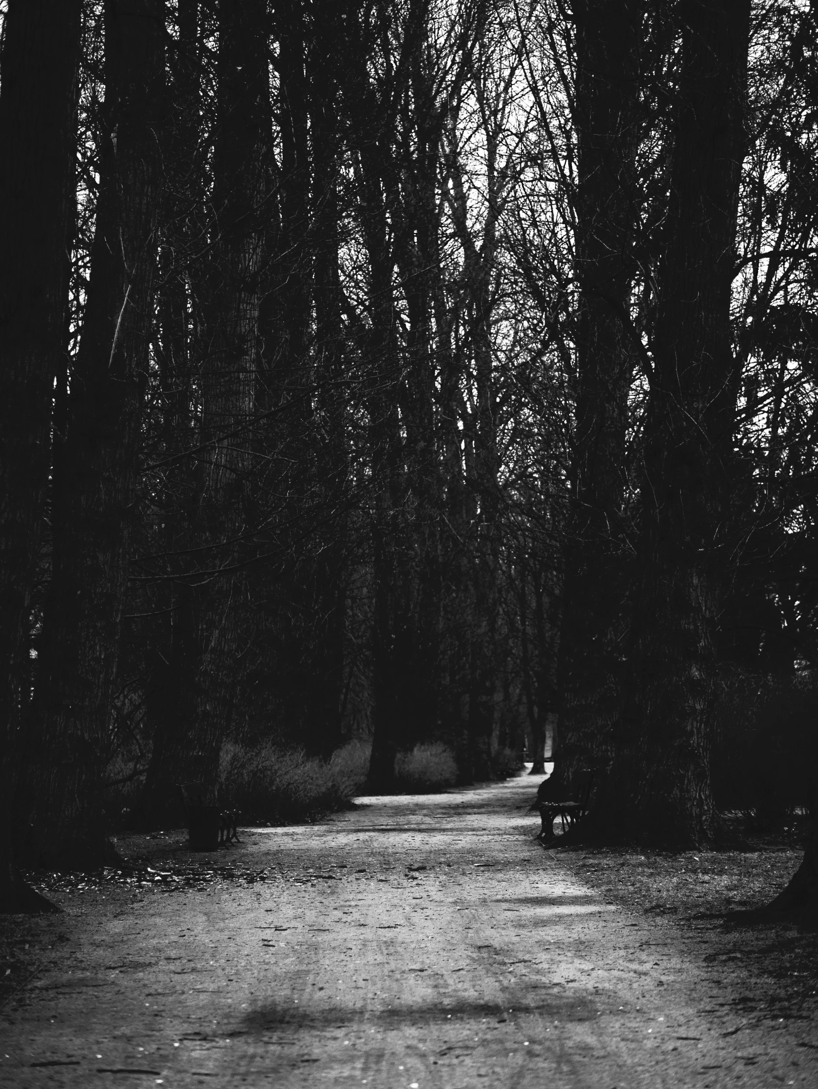 a black and white po of a dark paved road