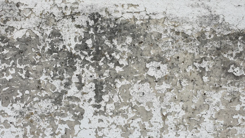 a wall covered with lichen and dirt next to a stop sign