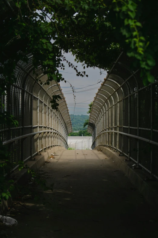 a po taken from the entrance way to an enclosure with a concrete wall and gate, surrounded by trees