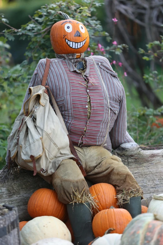 an orange pumpkin head sitting on top of an older scarecrow