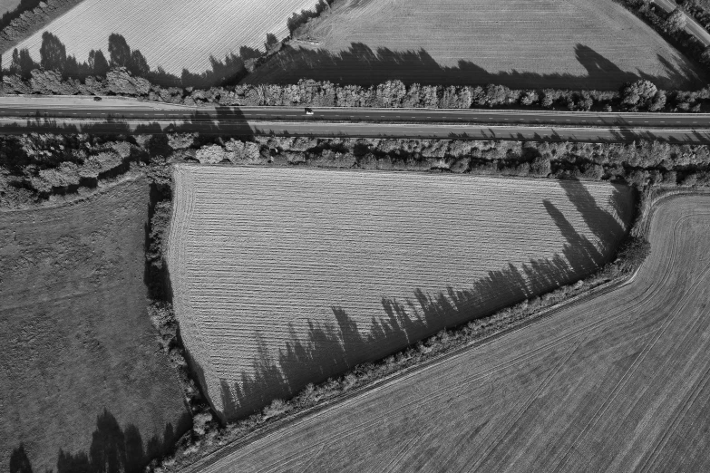 an aerial view of a patch in the sand