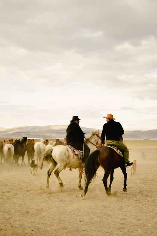 two men riding horses as they herd cattle on the ground