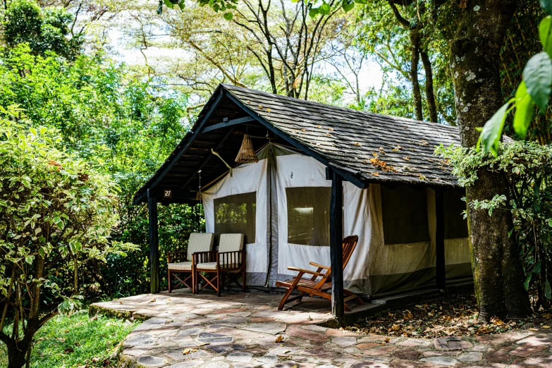 a small shelter sitting in a forest filled with trees